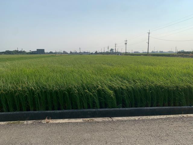 嘉義農地-7