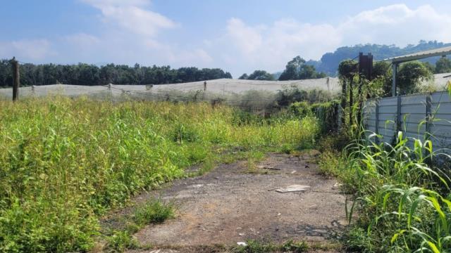 台南玉井農地-7