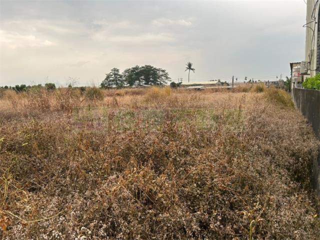 屏東里港農地-6