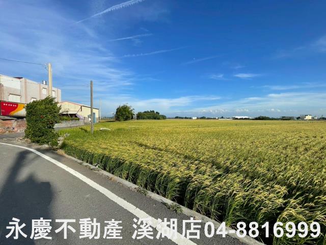 彰化二林農地-4