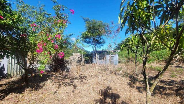 新竹橫山農地-12