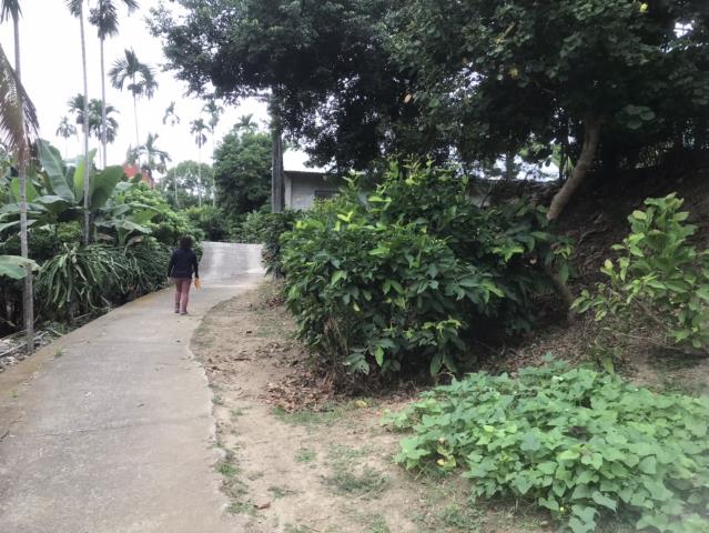 台中太平農地-5