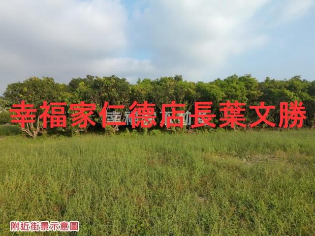 台南歸仁農地-9