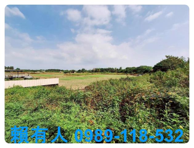 台南農地-3