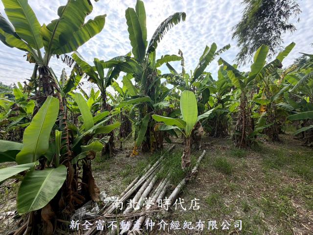 台南左鎮農地-10