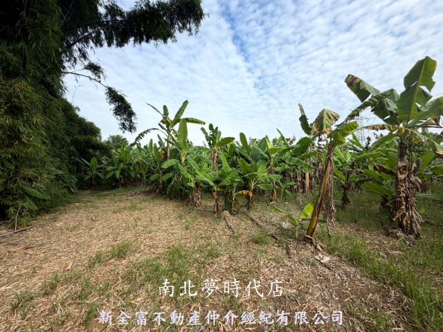 台南左鎮農地-0