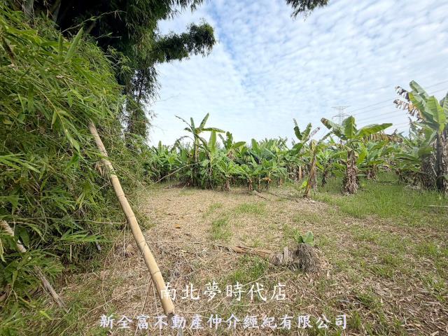 台南左鎮農地-5