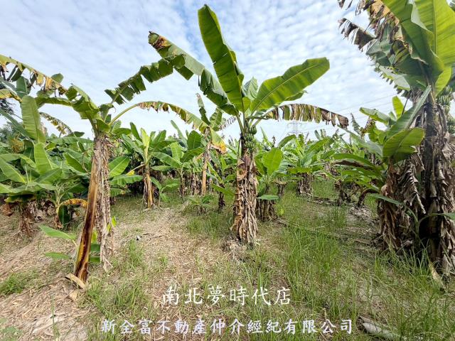 台南左鎮農地-8