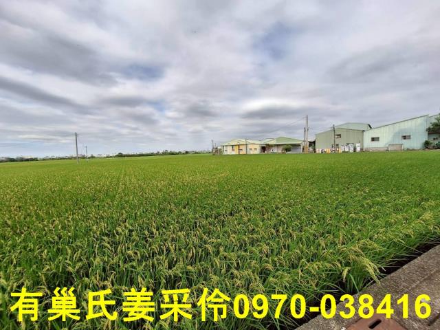 嘉義西區農地-11