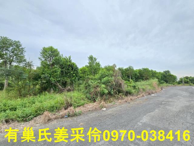 嘉義民雄農地-11