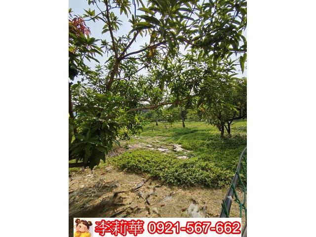 高雄岡山農地-9