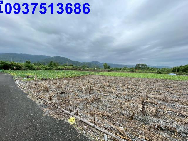 宜蘭縣員山鄉深賢段農地出售