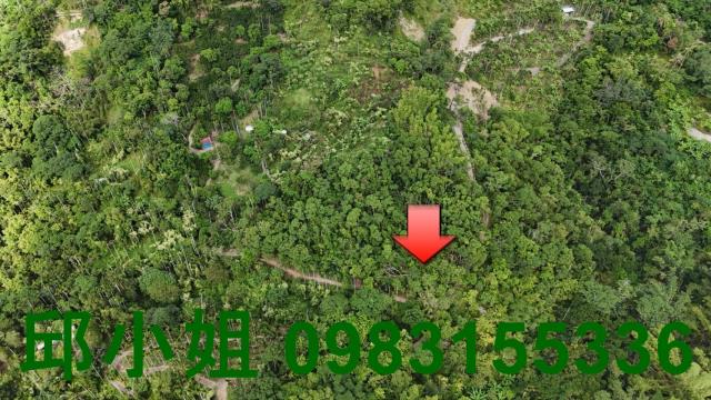 嘉義農地水上大崙農地C