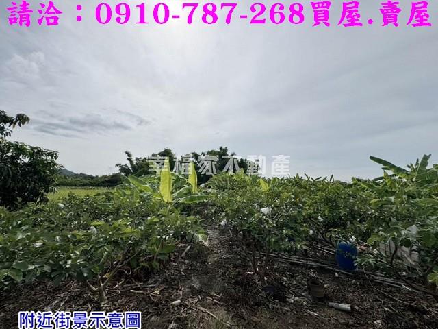 台南農地-6