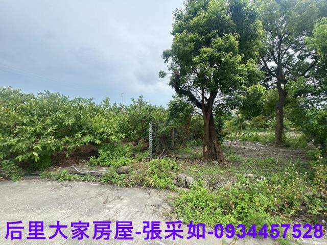 台中市東勢區小中嵙都計內