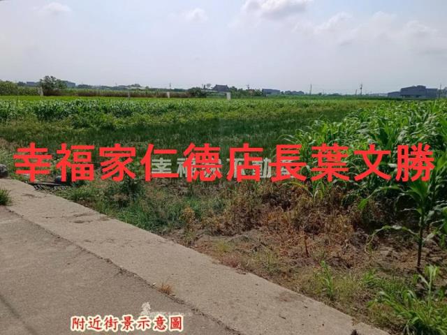 台南安定農地-0