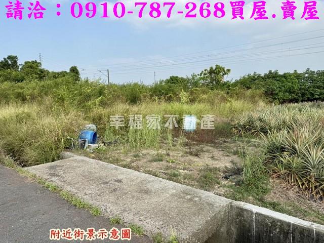 台南新市農地-9