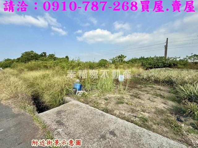 台南新市農地-13