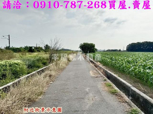 台南新市農地-6