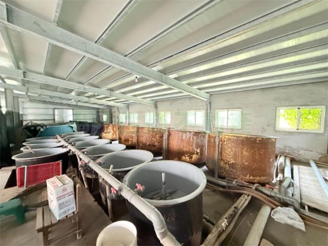 高雄彌陀農地-6