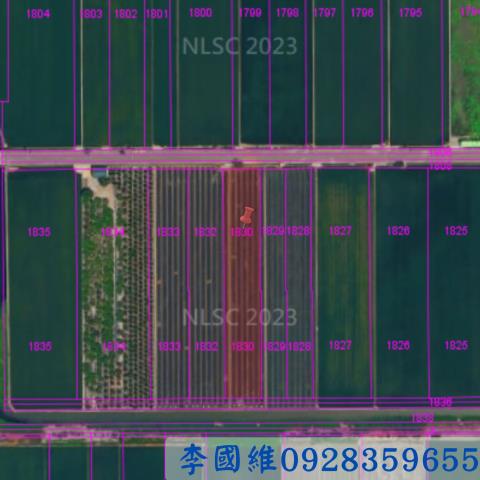 竹塘法拍農地-2