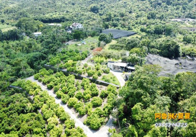 民雄農地民雄建地民雄都內