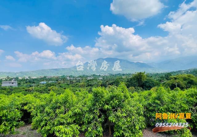 嘉義農地-7