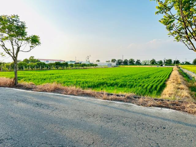 嘉義農地-2