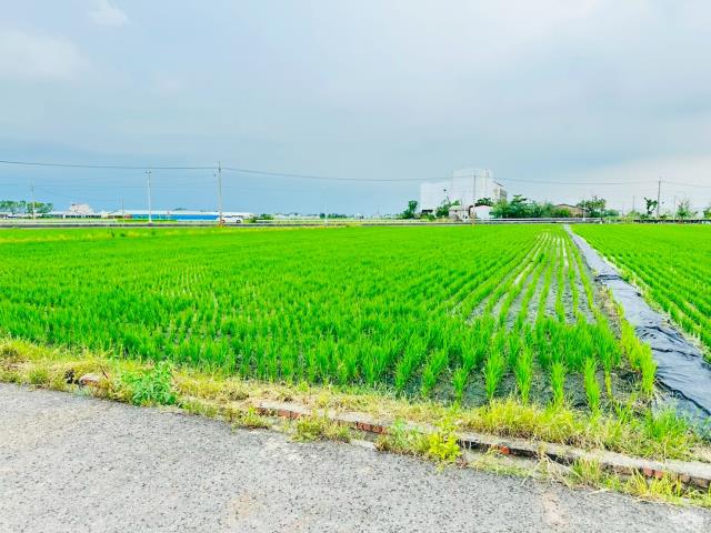 嘉義農地-4