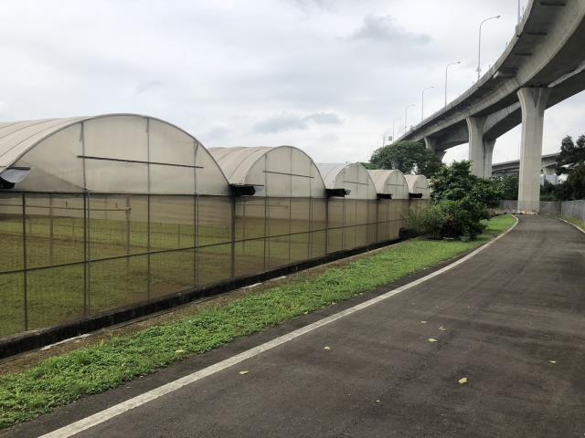 中壢近A20都計內臨4米路農建地