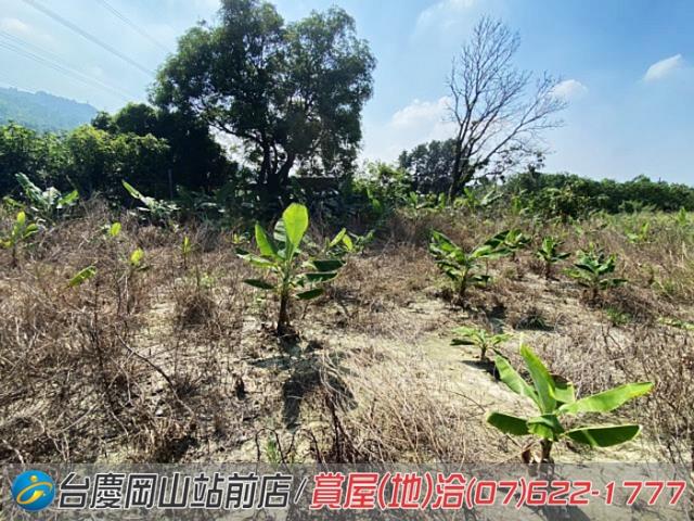 高雄阿蓮農地-5