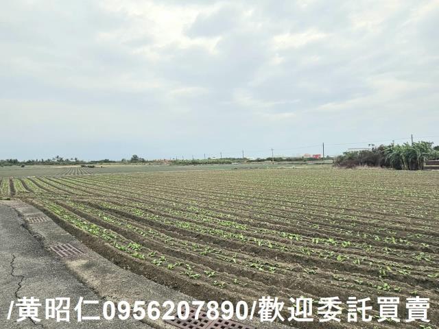 安南農地-8