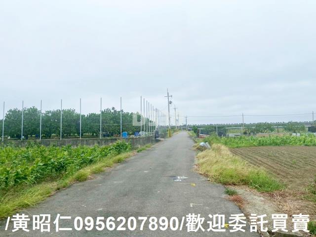台南農地-10