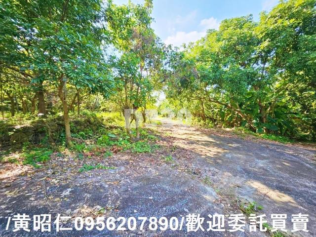 台南農地-3