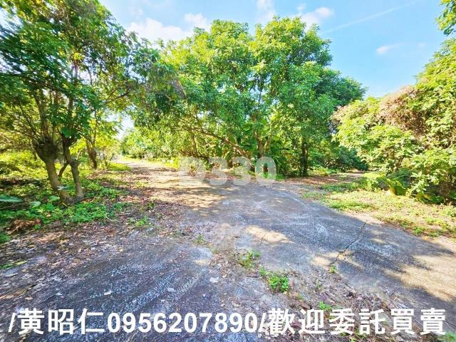 台南農地-5