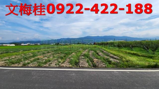 宜蘭縣員山鄉湖北段農地出售