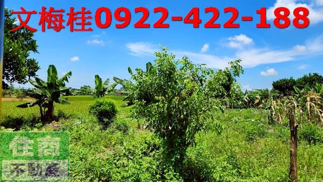 宜蘭縣員山鄉新七賢段農地出售