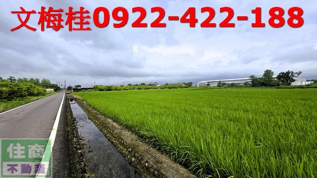 宜蘭縣壯圍鄉大福一段養殖農地出售