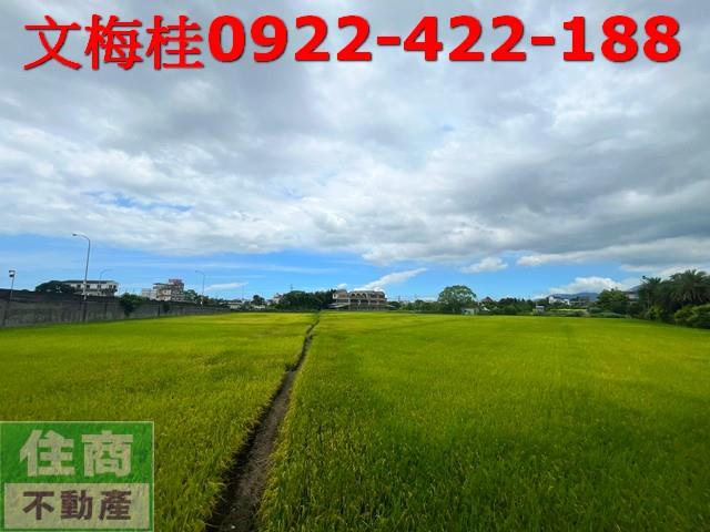 宜蘭土地宜蘭農地員山農地壯圍農地