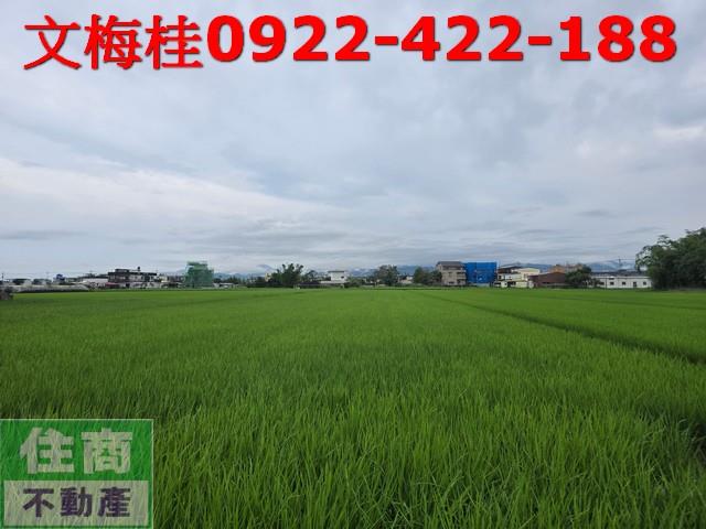 宜蘭縣宜蘭市凱旋一段農地出售