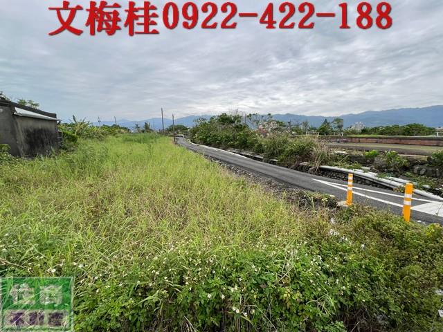 宜蘭縣壯圍鄉壯濱一段農地出售