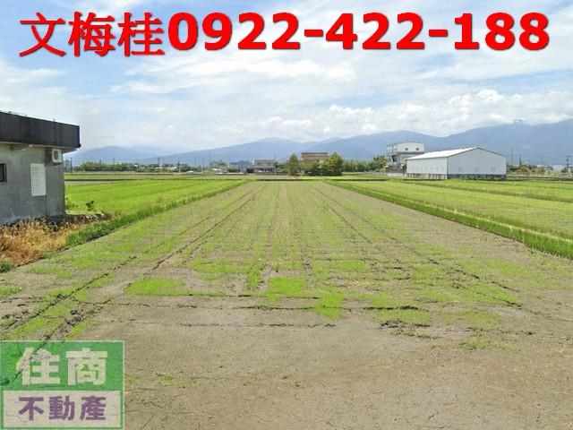 宜蘭縣壯圍鄉壯東段農地出售