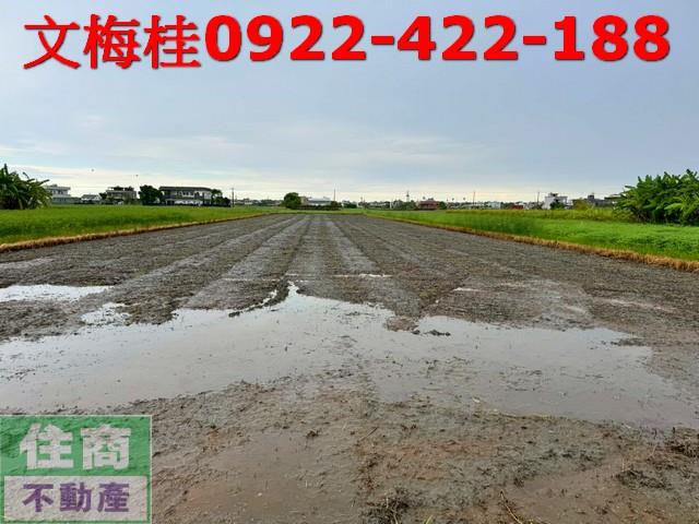 宜蘭縣壯圍鄉新南段農地出售