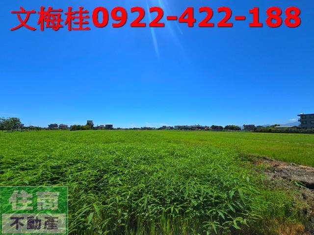 宜蘭縣壯圍鄉中興段農地出售