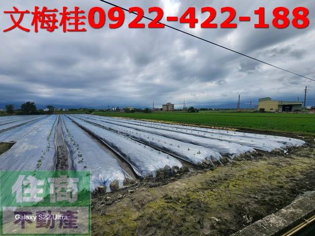 宜蘭壯圍農地-3