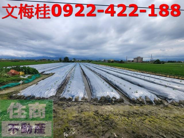 宜蘭壯圍農地-4