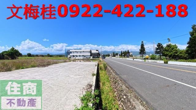 宜蘭宜蘭市農地-0