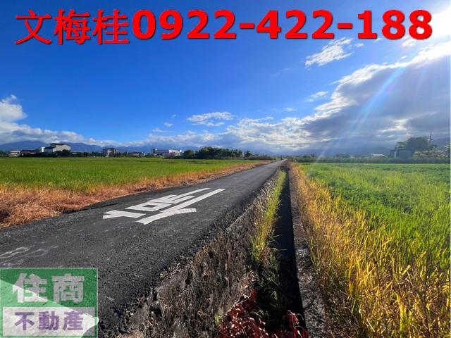 宜蘭宜蘭市農地-4