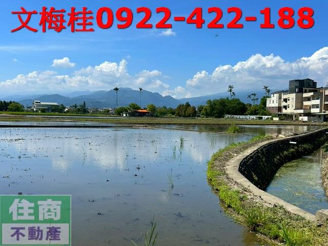 宜蘭宜蘭市農地-4