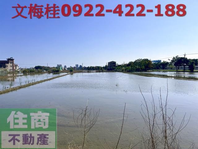 宜蘭宜蘭市農地-3